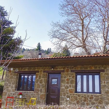 Villa Γήλοφος Ano Trikala Exterior foto