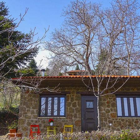 Villa Γήλοφος Ano Trikala Exterior foto